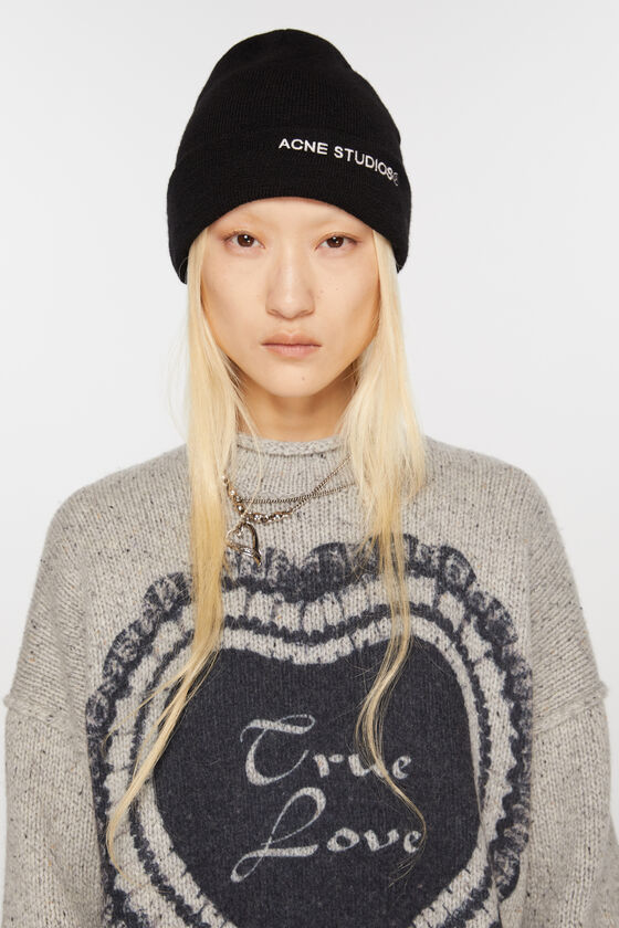 (image for) Long-Lasting Logo beanie